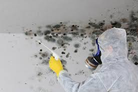 Why You Should Choose Our Mold Remediation Services in Springdale, PA